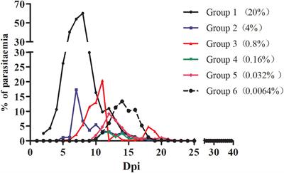 Transmission risk evaluation of transfusion blood containing low-density Babesia microti